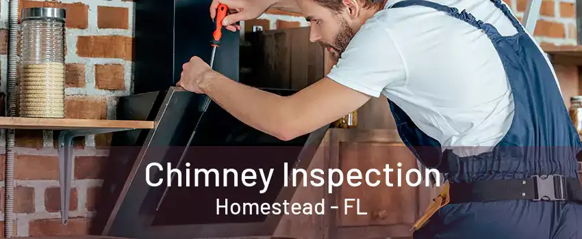 Chimney Inspection Homestead - FL