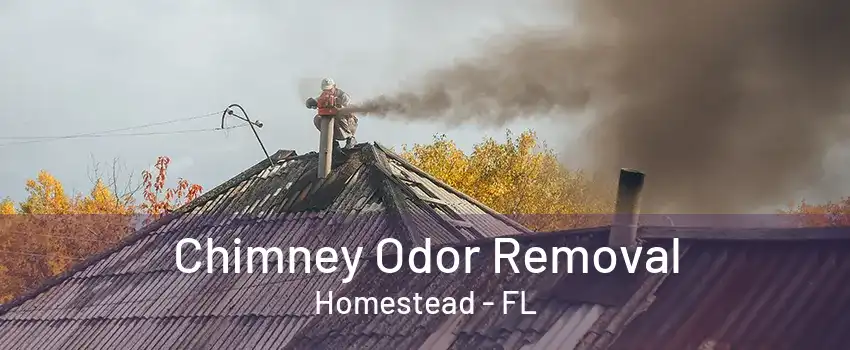 Chimney Odor Removal Homestead - FL