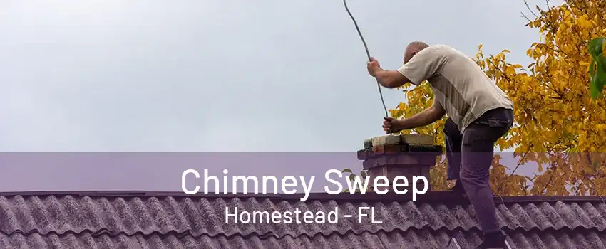 Chimney Sweep Homestead - FL