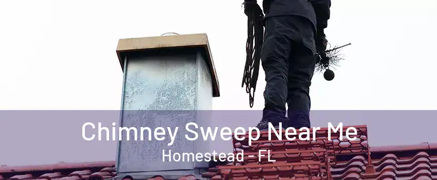 Chimney Sweep Near Me Homestead - FL