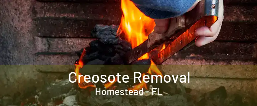 Creosote Removal Homestead - FL