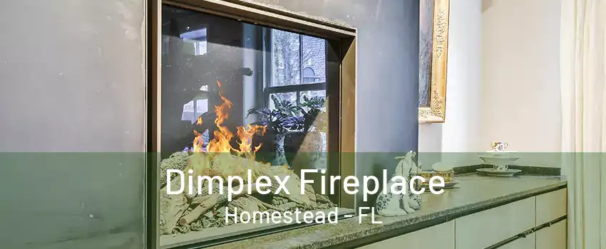 Dimplex Fireplace Homestead - FL