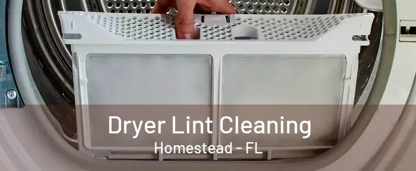 Dryer Lint Cleaning Homestead - FL