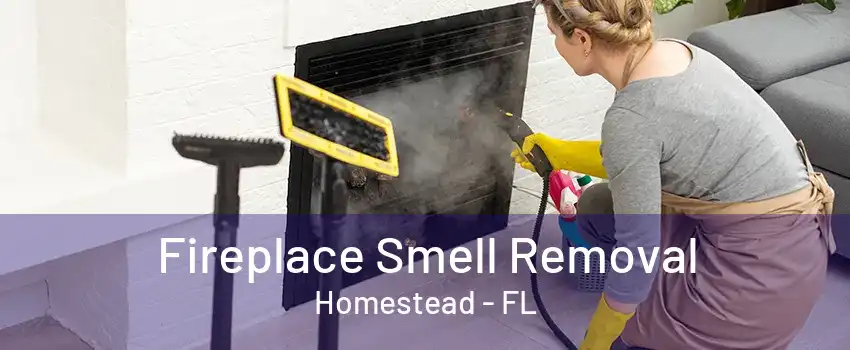 Fireplace Smell Removal Homestead - FL