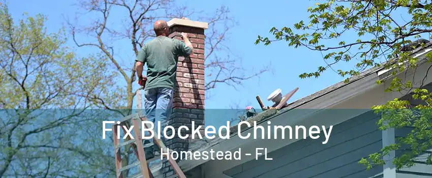 Fix Blocked Chimney Homestead - FL