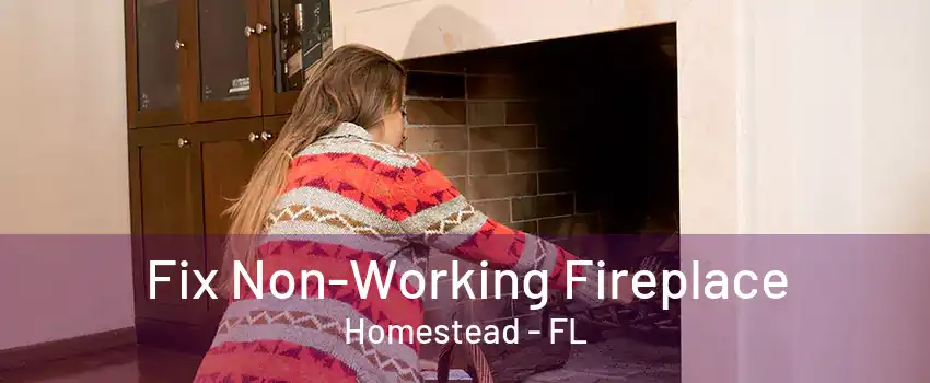 Fix Non-Working Fireplace Homestead - FL