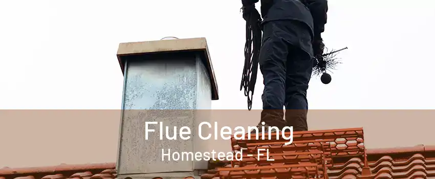 Flue Cleaning Homestead - FL