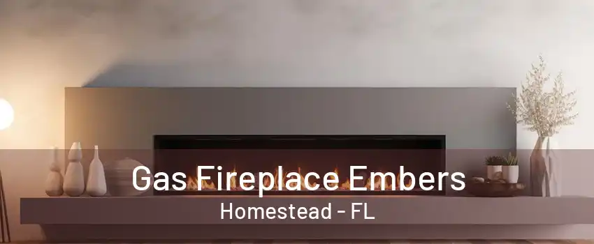 Gas Fireplace Embers Homestead - FL