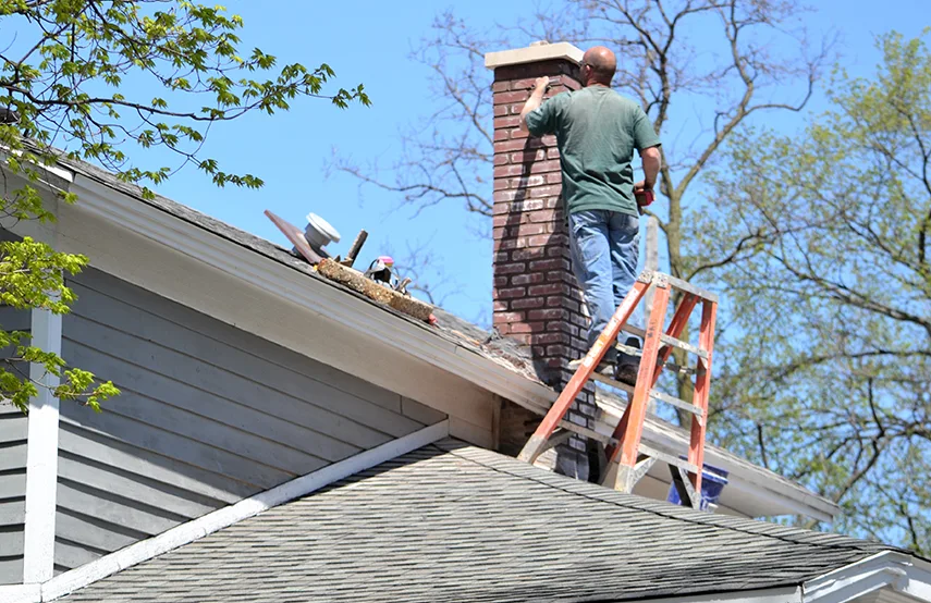 Chimney & Fireplace Inspections Services in Homestead, FL