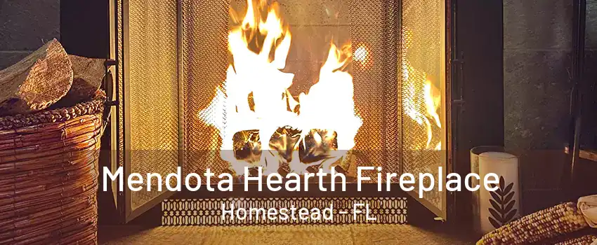 Mendota Hearth Fireplace Homestead - FL